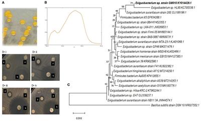 Bactericidal Effects of Exiguobacterium sp GM010 Pigment Against Food-Borne Pathogens